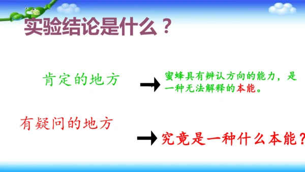 14《蜜蜂》课件
