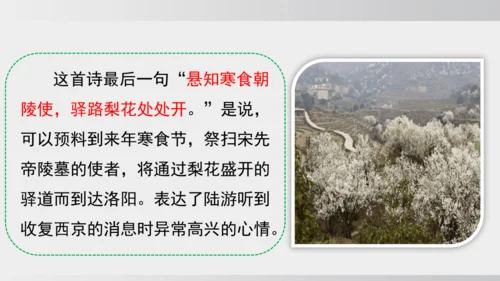 15 驿路梨花 课件