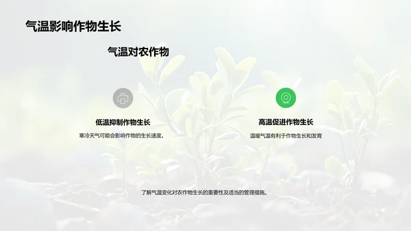 春分农作气象指导