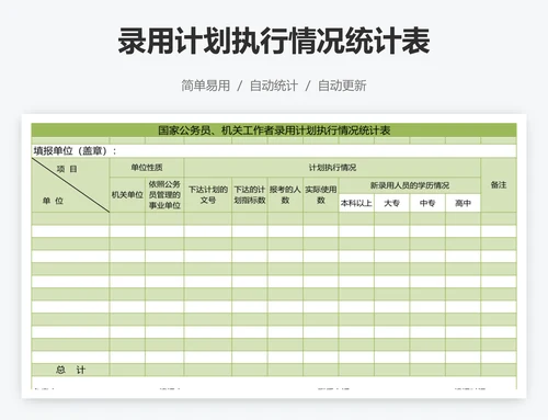 录用计划执行情况统计表