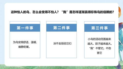 《珍珠鸟》五年级语文课件PPT模板