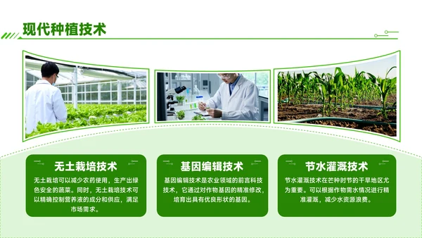 绿色商务风芒种时节农业新技术应用与推广