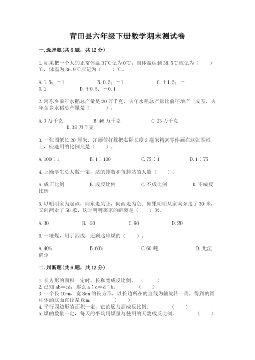 青田县六年级下册数学期末测试卷（夺冠系列）.docx