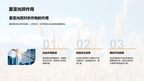 夏至农业气候指导