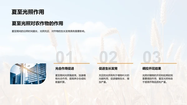 夏至农业气候指导
