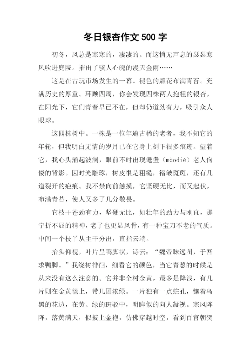 冬日银杏作文500字.docx