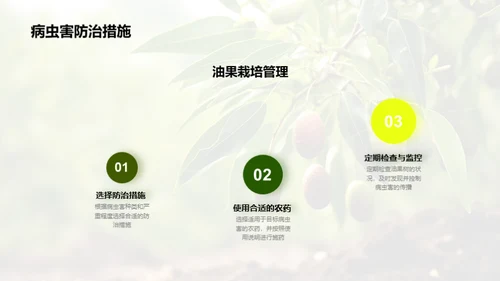 油果种植之全方位解析