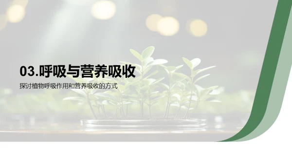 揭秘植物生命