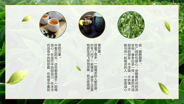 绿色实景茶园茶道科普介绍PPT模板