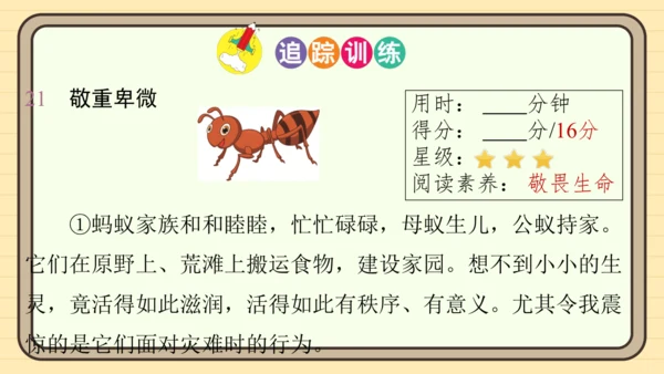 统编版语文五年级上册主题四　生活感悟 阅读与写作指导课件