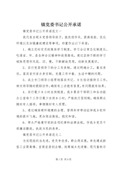 镇党委书记公开承诺.docx