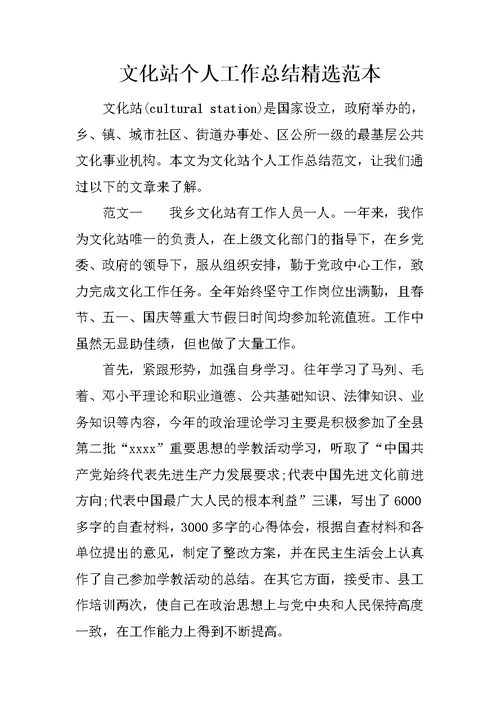 文化站个人工作总结精选范本