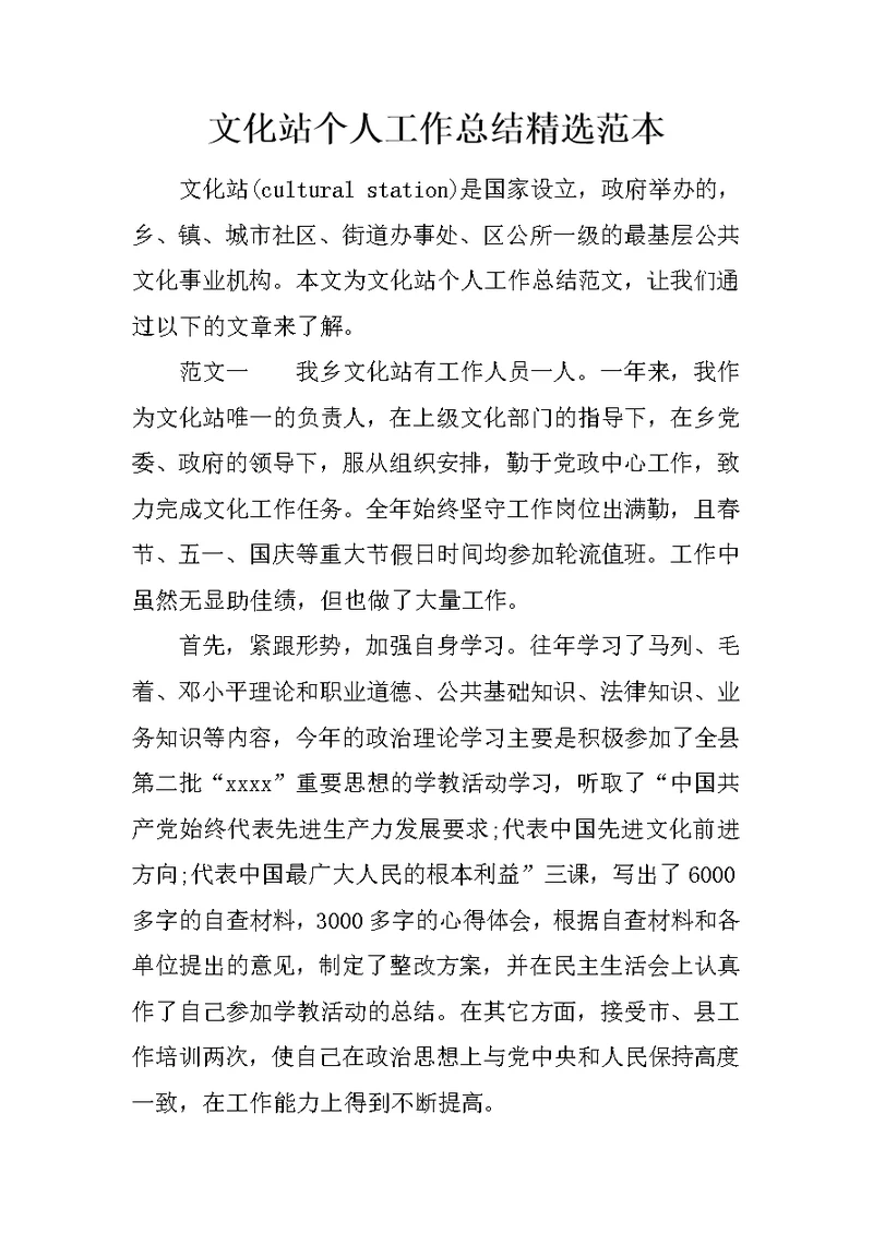 文化站个人工作总结精选范本