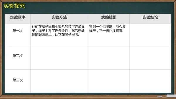 6 夜间飞行的秘密（课件）