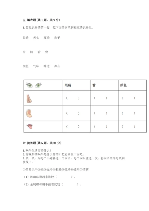 教科版小学科学一年级下册期末测试卷（夺冠）.docx