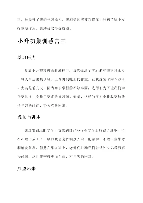 小升初集训感言