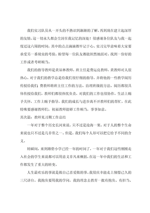 教师见习期个人工作总结(3篇)