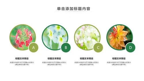 简约清新春天主题读书分享动态PPT模板