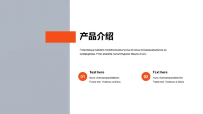 扁平PPT产品介绍