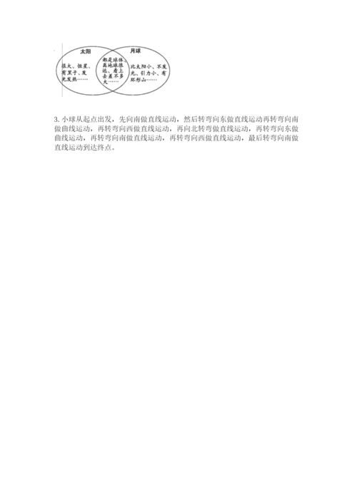 教科版三年级下册科学期末测试卷（考点梳理）.docx