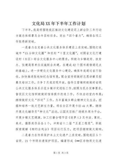 文化局XX年下半年工作计划.docx