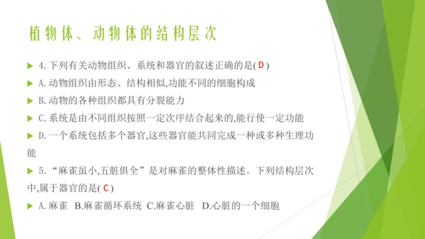人教版生物七年级上册期中复习课件(共19张PPT)