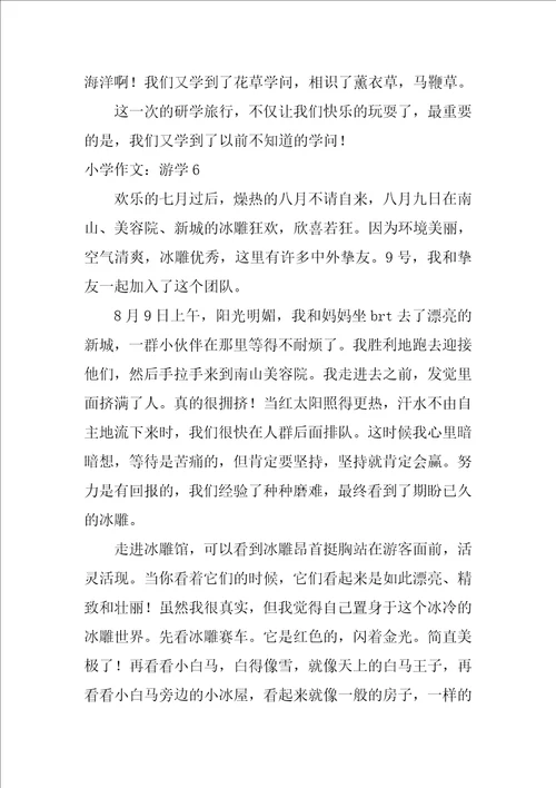 2022小学作文：游学