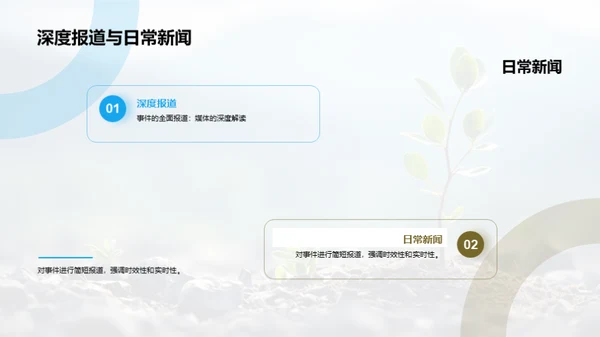 植树节深度报道研究