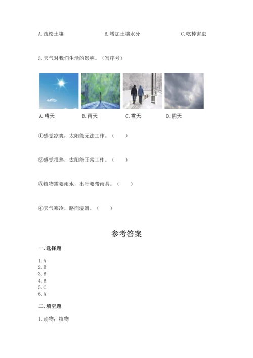 教科版二年级上册科学期末测试卷学生专用.docx