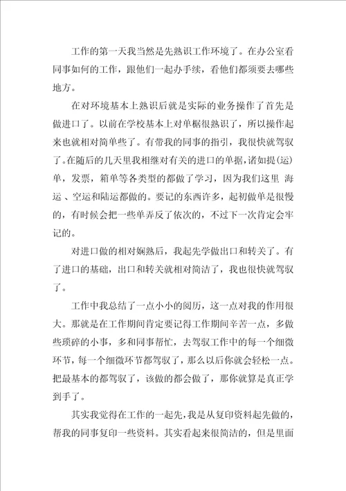报关员个人工作总结与计划