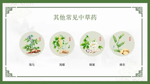 绿色中国风古风神奇中草药主题班会PPT模板中医药