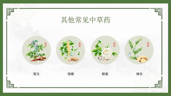 绿色中国风古风神奇中草药主题班会PPT模板中医药