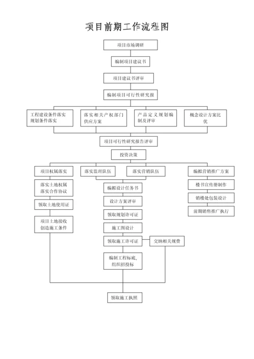 项目前期工作流程图.docx