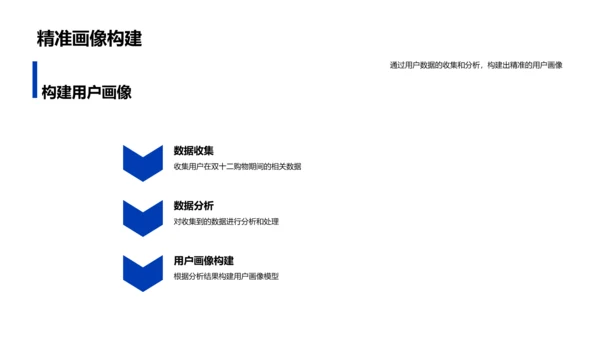 双十二用户画像推广报告