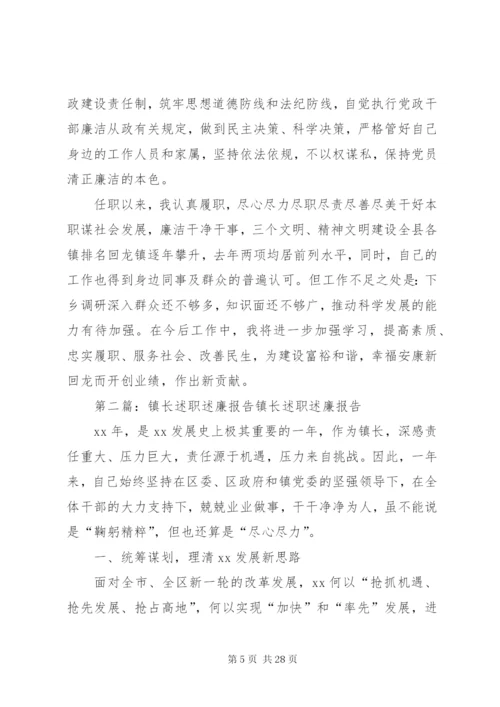 镇长述职述廉报告 (2).docx