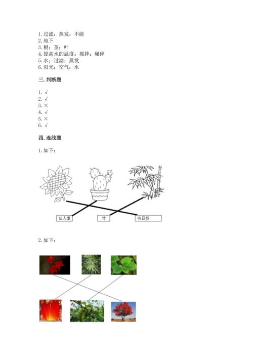 教科版科学一年级上册第一单元《植物》测试卷及答案（精选题）.docx