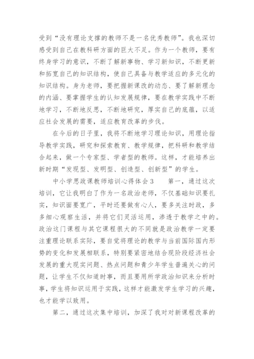 中小学思政课教师培训心得体会.docx