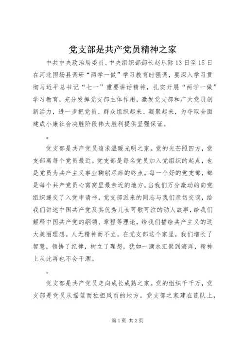 党支部是共产党员精神之家.docx