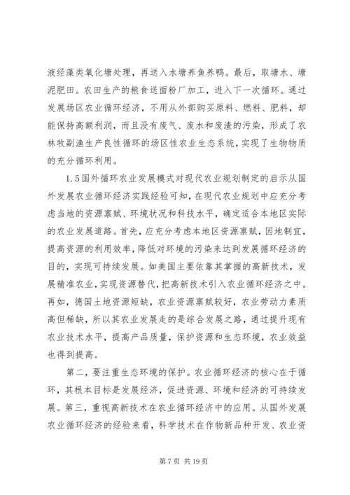 现代化农业规划理论探讨.docx