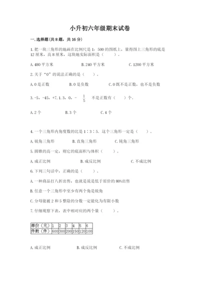 小升初六年级期末试卷带答案（精练）.docx