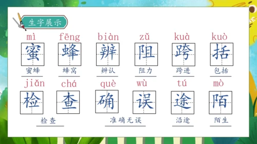 【核心素养】部编版语文三年级下册-14. 蜜蜂 第1课时（课件）
