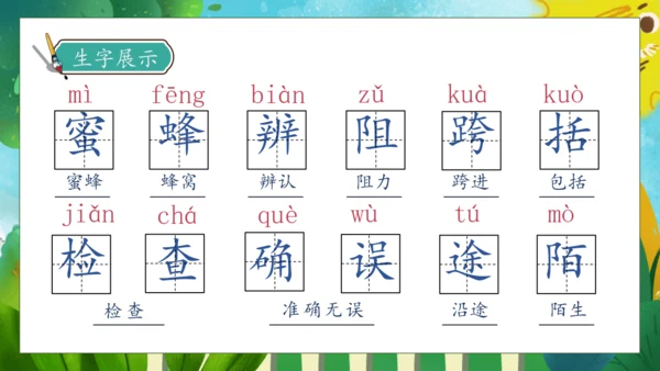 【核心素养】部编版语文三年级下册-14. 蜜蜂 第1课时（课件）