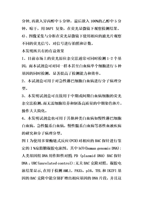 检测急性淋巴细胞性白血病的基因探针组合物及试剂盒的制作方法