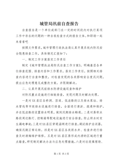 城管局汛前自查报告 (2).docx