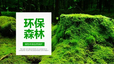 绿色环保世界湿地森林日动态PPT模板