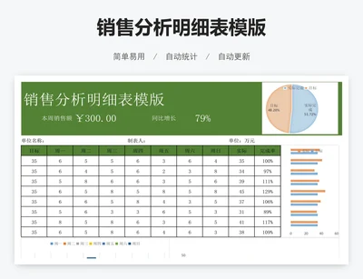 销售分析明细表模版
