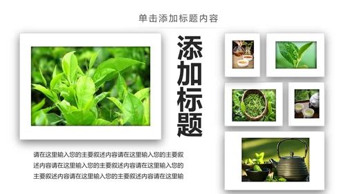 清新绿茶红茶茶叶茶厂茶文化茶道春茶PPT