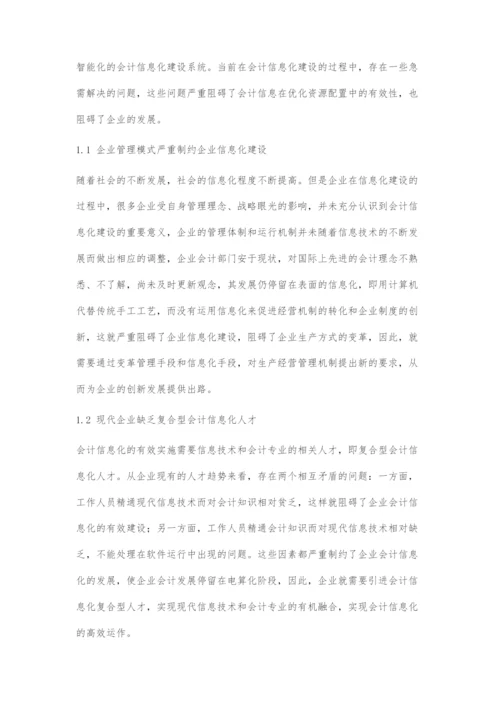 会计信息化建设的问题分析及标准构建.docx