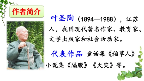 10 爬山虎的脚  课件