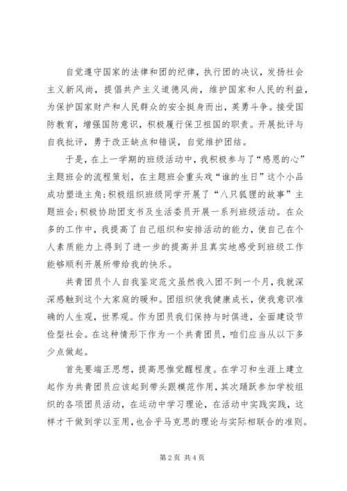 共青团员个人自我鉴定范文.docx